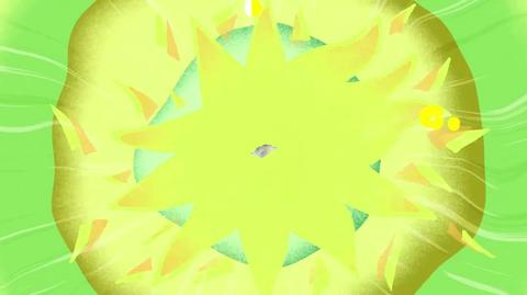 20260711陪看